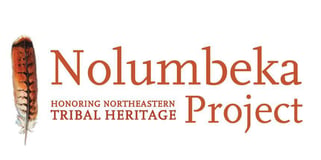 THE NOLUMBEKA PROJECT INC logo