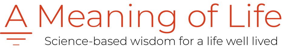 AMeaningOfLife.org logo