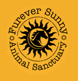 Furever Sunny logo