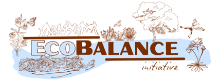 EcoBalance logo