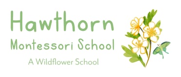 Hawthorn Montessori School logo