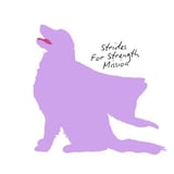 Strides for Strength Mission logo