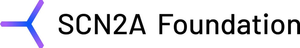 The SCN2A Foundation logo