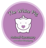 White Pig Animal Sanctuary Inc logo