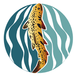 Blackstone River Watershed Council / Friends of the Blackstone logo
