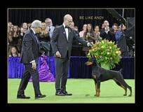 The Roast of an Icon logo