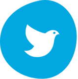 POP's Foundation logo