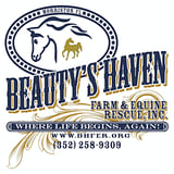 Beautys Haven Farm & Equine Rescue Inc logo