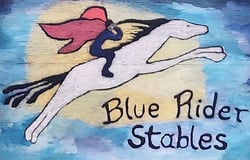 Blue Rider Stables logo