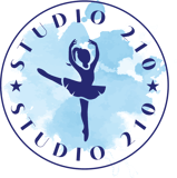 Studio 210 logo