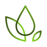 The English Advantage Mexico logo