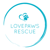 LOVEPAWS logo