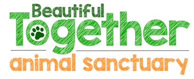 BEAUTIFUL TOGETHER logo