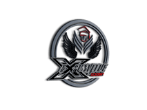 Example Academy logo
