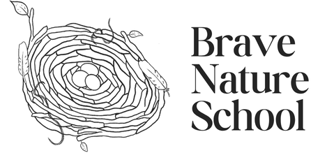 Brave Nature School Foundation logo