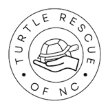 Turtle Rescue of NC logo