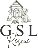 Gsl Rescue logo