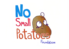 No Small Potatoes Foundation logo