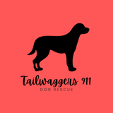 Tailwaggers 911 Dog Rescue logo