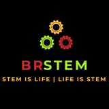 Brstem Institute logo