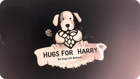 Hugs for Harry logo