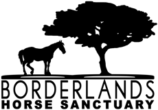 BORDERLANDS HORSE SANCTUARY logo