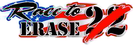 Play to Erase 22 logo