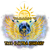 Tamarie T. & Thee Elektra Kumpany logo