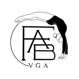 VGA Flipping Awesome Booster logo