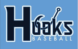 Hooks Baseball logo