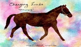 Racing for Home Inc logo