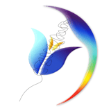 Being Human Foundation Inc logo