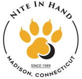 Daniel Hand High School - Nite in Hand logo