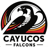 Cayucos Elementary School PTA logo