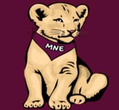 Mount Nittany Elementary Parent Teacher Organization logo