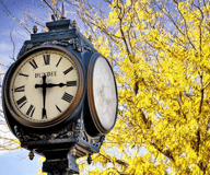 Dundee Merchants Association logo