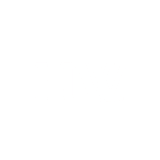 Hotshot Wellness logo