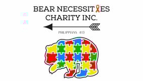 Bear Necessities Charity Inc logo