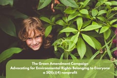 The Green Amendment Campaign logo