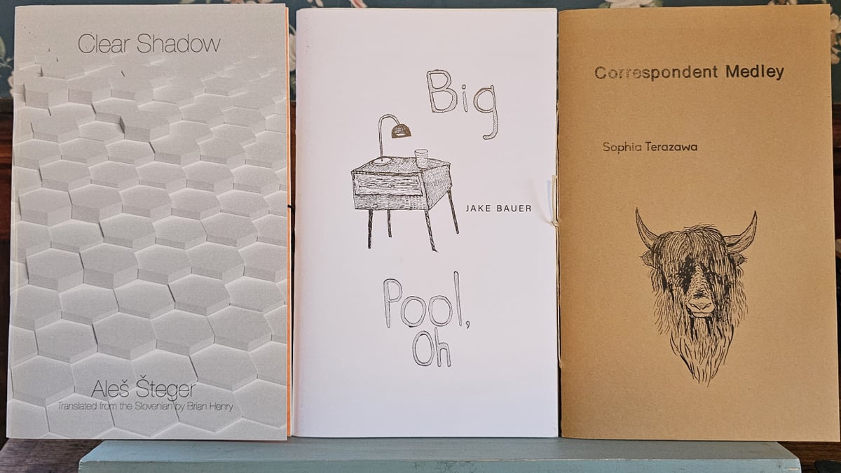 新品KATIE HIRAKEN MAILING COURSE 28〜36か月目 Plus Size Formal Long Sleeve Sequin Jumpsuit - Sydney's Closet