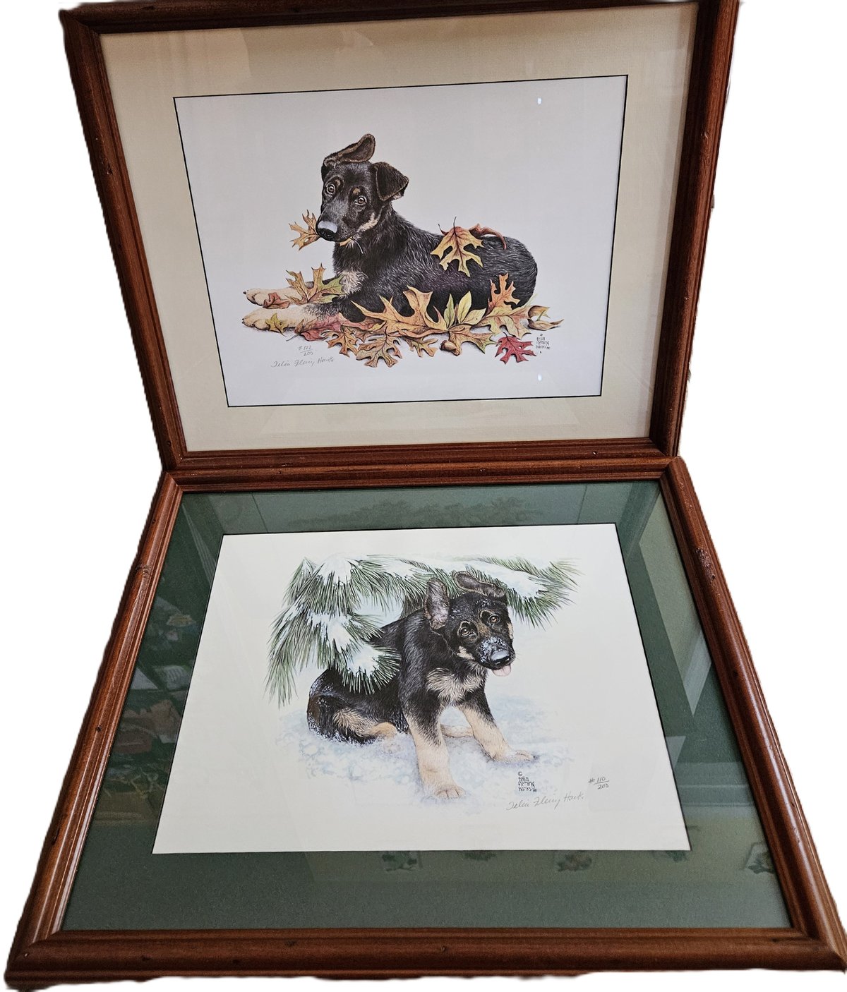 LIMITED EDITION FRAMED GERMAN SHEPHERD PUPPY PORTRAITS IN 4