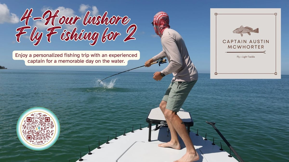 best spinning reel for bottom fishing This Is The Best Reel Under the 100 Price Point