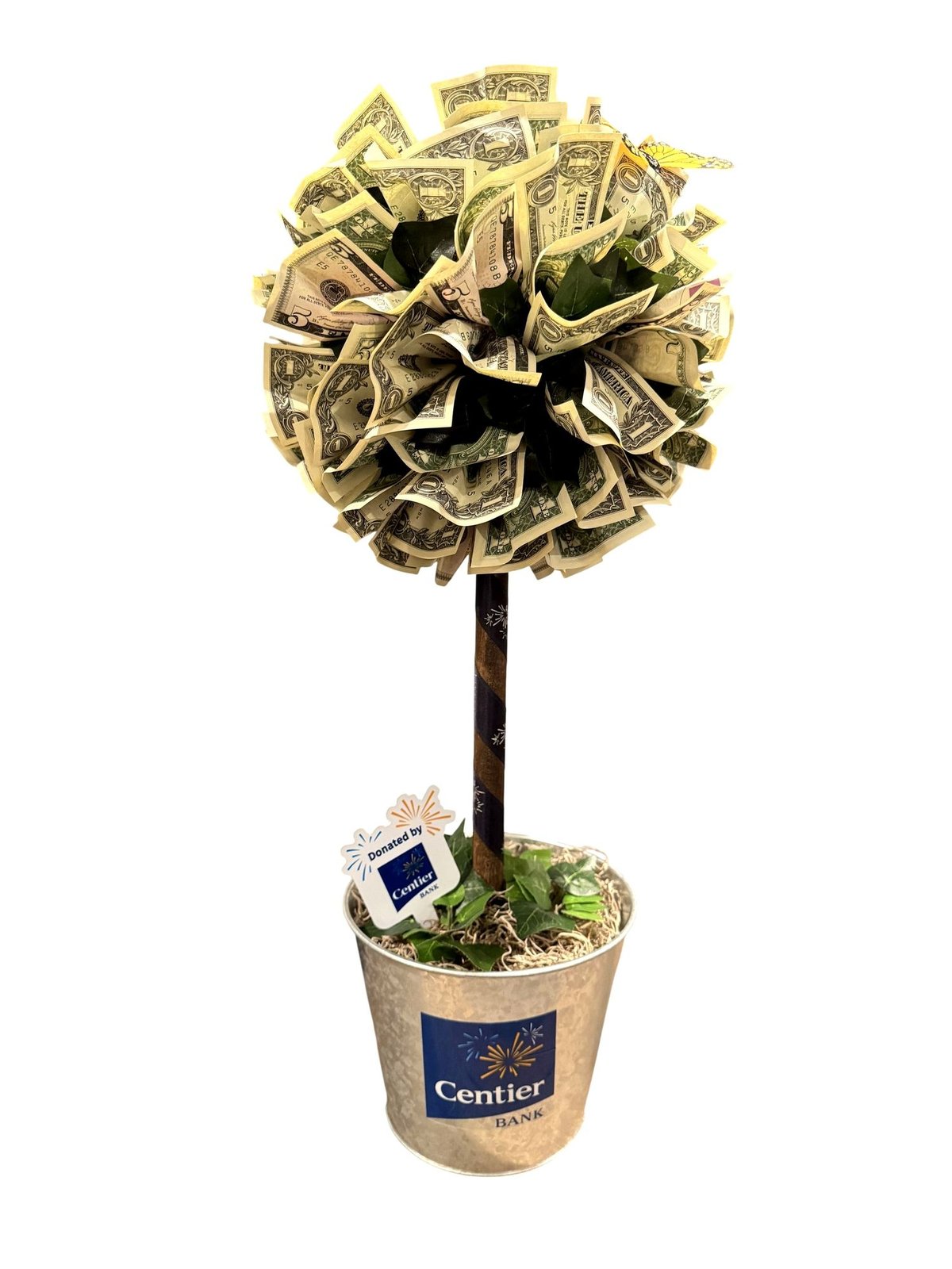 Centier Money Tree  Auction  2026 Scouts BSA Troop 48 Spaghetti Dinner