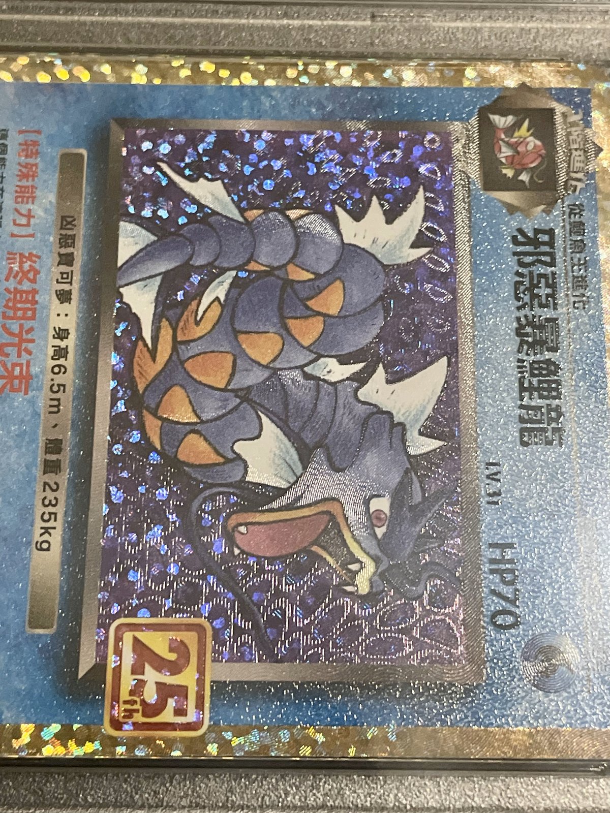 2021 Pokemon Shining Magikarp 010 and Dark Gyarados 005 Chinese