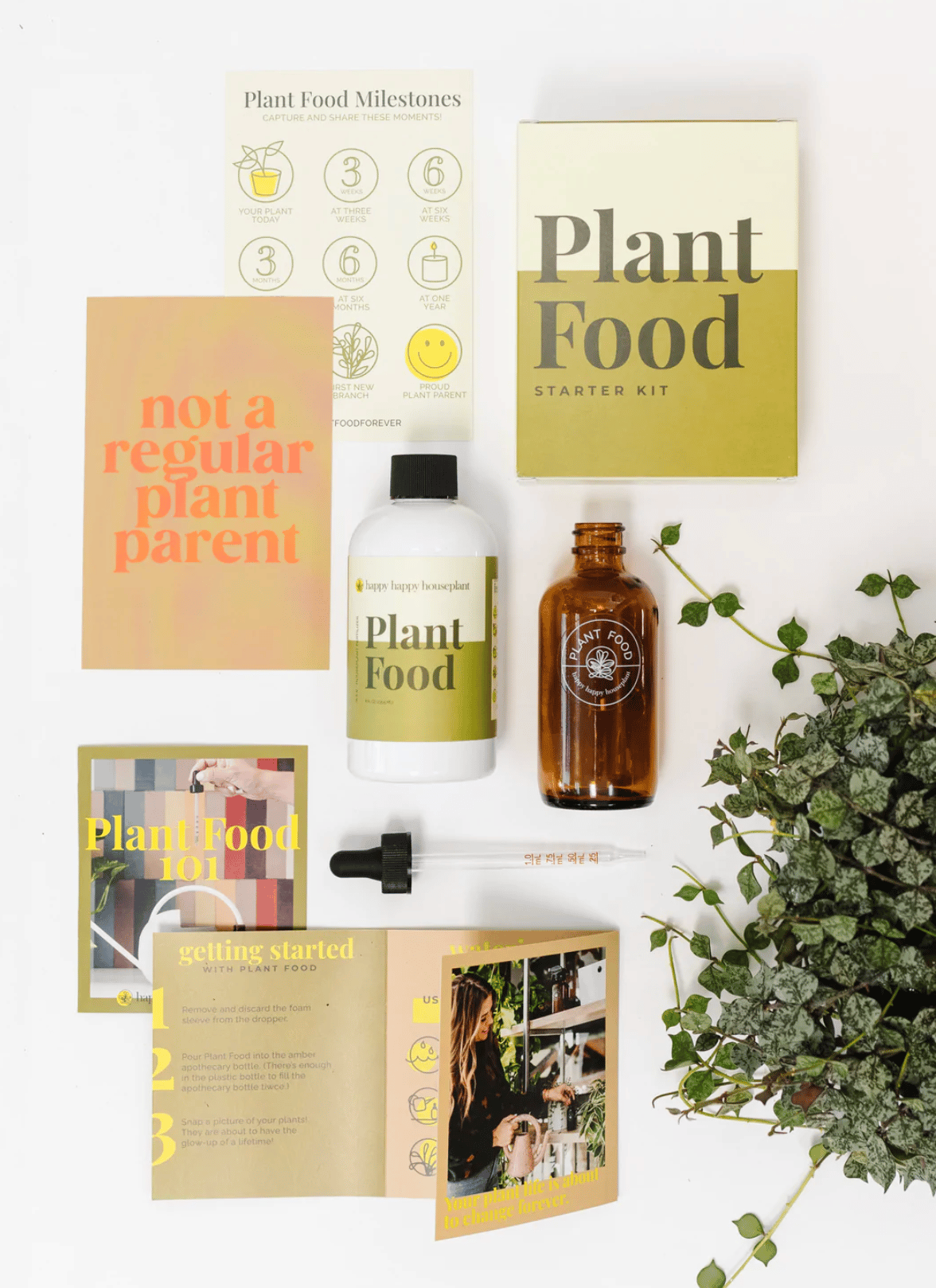 house plant expert Virtual Plant Appointment