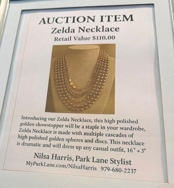 Park Lane Jewelry Auction Pink Patch Vendor Market Silent Auction Park Lane Jewelry Auction Pink Patch Vendor Market Silent Auction