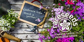 rare seeds gift card e-Gift Cards for Organic, Non-GMO & Heirloom Garden Seeds main image 1