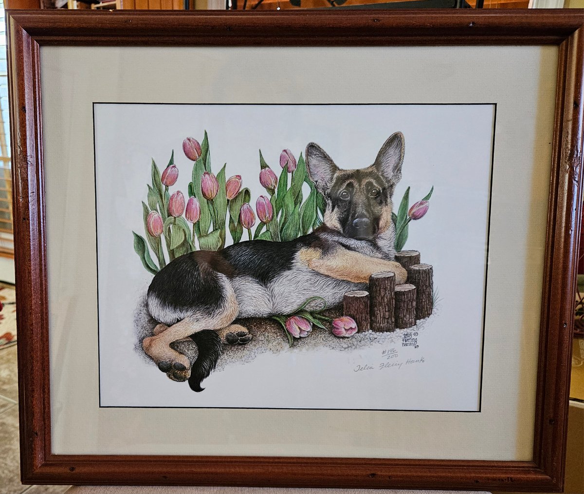 LIMITED EDITION FRAMED GERMAN SHEPHERD PUPPY PORTRAITS IN 4