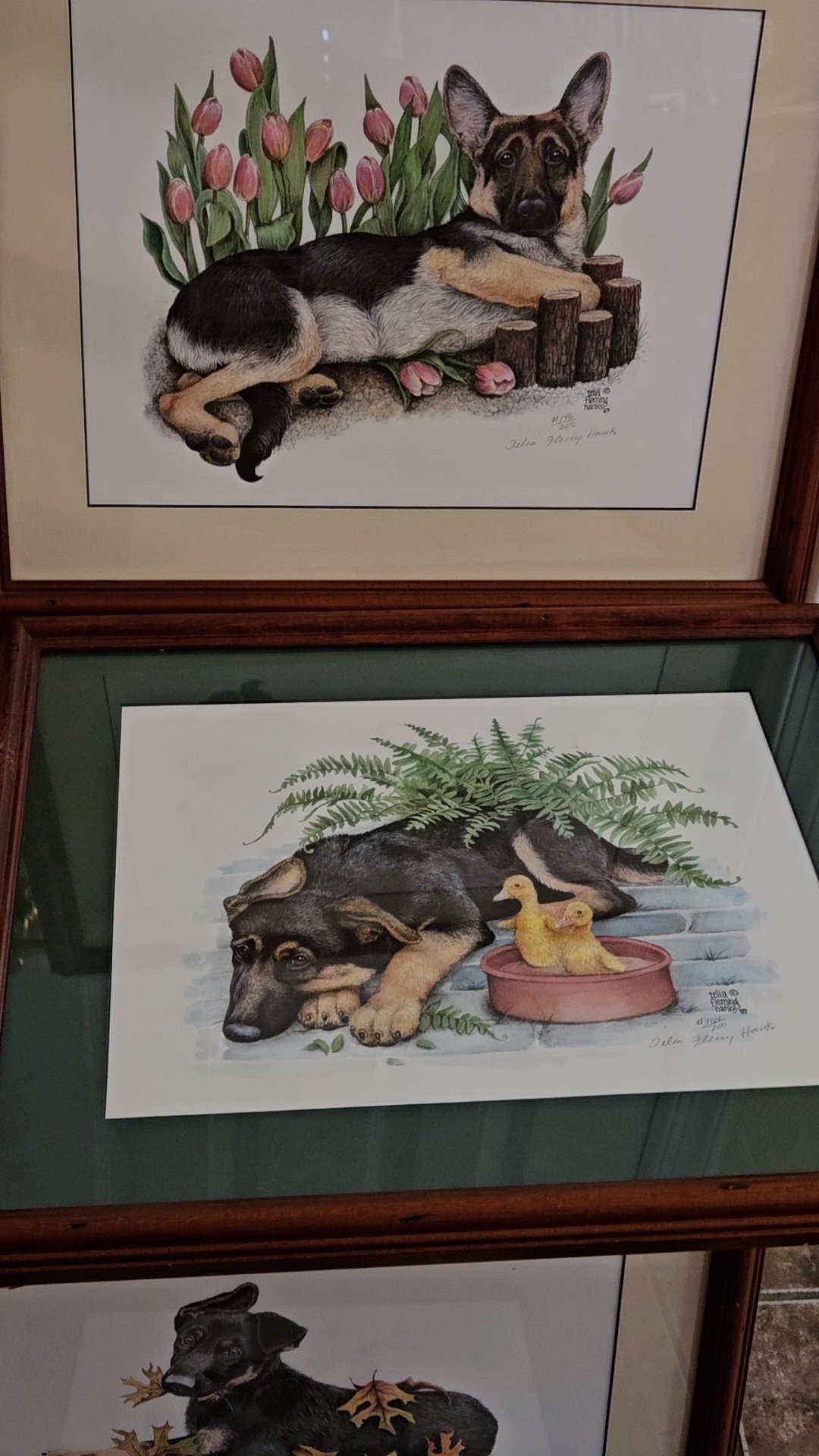 LIMITED EDITION FRAMED GERMAN SHEPHERD PUPPY PORTRAITS IN 4