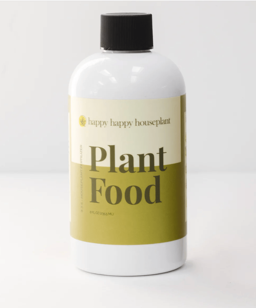Happy House Plant Starter Kit  Auction  Soundhouse 25th Anniversary  Celebration